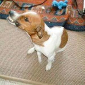 Meet your Posher, Lorilee